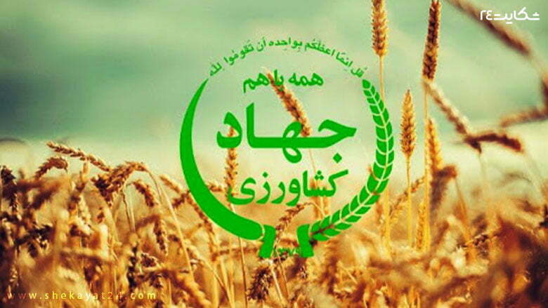 شکایت از جهاد کشاورزی